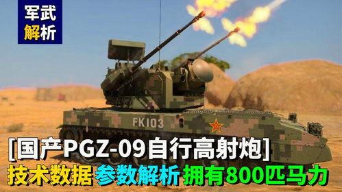 国产自行高炮视频,火力全开，捍卫蓝天