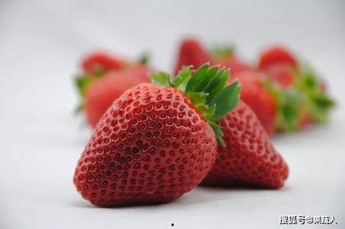 国产热门草莓在线视频,国产热门草莓视频带你领略甜蜜诱惑