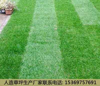 国产人造草坪施工视频,专业视频教程解析