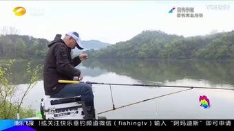 野钓视频大全集播放国产,国产生态之美尽收眼底