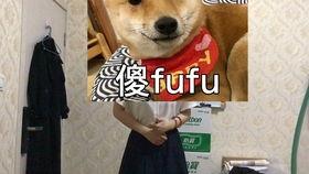 啊哈孩子还在H视频国产,H视频国产动画的精彩呈现