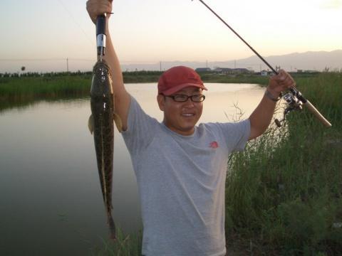 国产翘嘴竿新款推荐视频,性能卓越，钓鱼利器推荐！